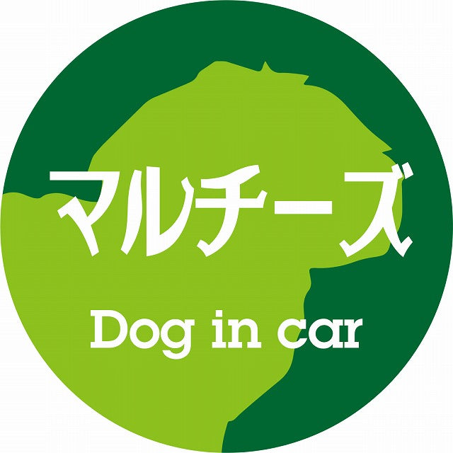 Dog in car マルチーズ レトロ書体 グリーン ステッカー 直径10cm 丸型 シール カーステッカー