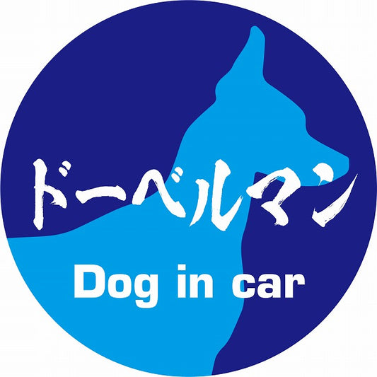 Dog in car ドーベルマン 毛筆書体 ブルー ステッカー 直径10cm 丸型 シール カーステッカー