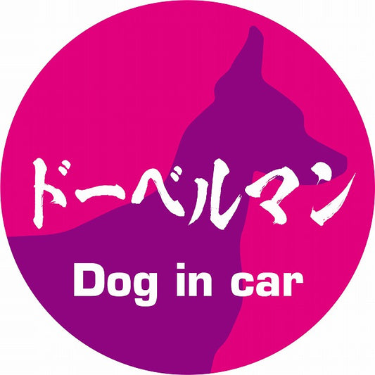 Dog in car ドーベルマン 毛筆書体 ピンクパープル ステッカー 直径10cm 丸型 シール カーステッカー