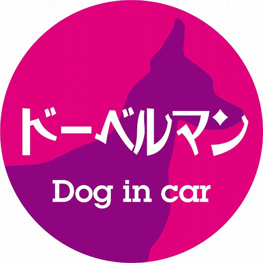 Dog in car ドーベルマン レトロ書体 ピンクパープル ステッカー 直径10cm 丸型 シール カーステッカー