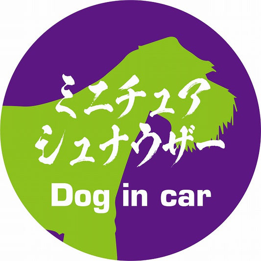 Dog in car ミニチュアシュナウザー 毛筆書体 パープルグリーン ステッカー 直径10cm 丸型 シール カーステッカー