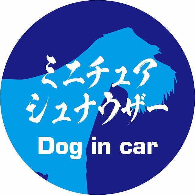 Dog in car ミニチュアシュナウザー 毛筆書体 ブルー ステッカー 直径10cm 丸型 シール カーステッカー