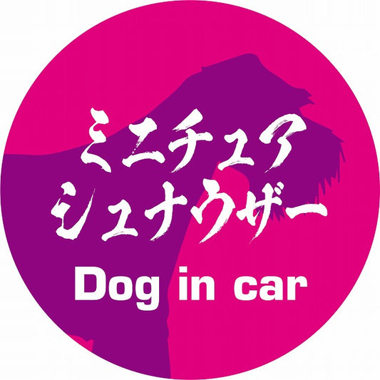 Dog in car ミニチュアシュナウザー 毛筆書体 ピンクパープル ステッカー 直径10cm 丸型 シール カーステッカー