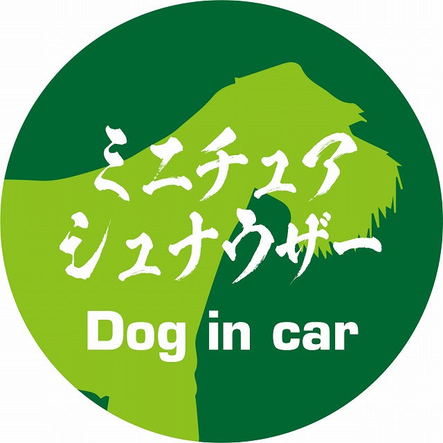Dog in car ミニチュアシュナウザー 毛筆書体 グリーン ステッカー 直径10cm 丸型 シール カーステッカー