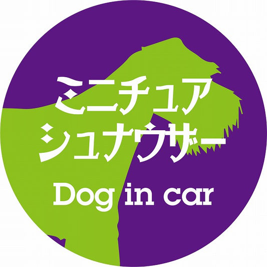 Dog in car ミニチュアシュナウザー レトロ書体 パープルグリーン ステッカー 直径10cm 丸型 シール カーステッカー