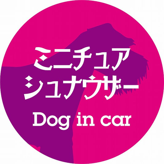 Dog in car ミニチュアシュナウザー レトロ書体 ピンクパープル ステッカー 直径10cm 丸型 シール カーステッカー