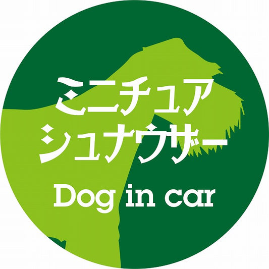 Dog in car ミニチュアシュナウザー レトロ書体 グリーン ステッカー 直径10cm 丸型 シール カーステッカー