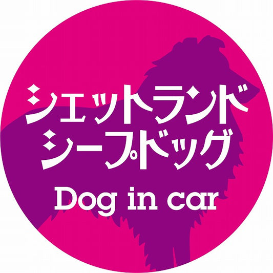 Dog in car シェットランドシープドッグ レトロ書体 ピンクパープル ステッカー 直径10cm 丸型 シール カーステッカー