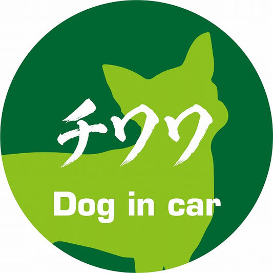 Dog in car チワワ 毛筆書体 グリーン ステッカー 直径10cm 丸型 シール カーステッカー