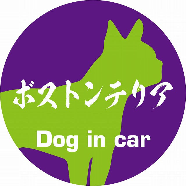 Dog in car ボストンテリア 毛筆書体 パープルグリーン ステッカー 直径10cm 丸型 シール カーステッカー