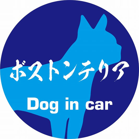 Dog in car ボストンテリア 毛筆書体 ブルー ステッカー 直径10cm 丸型 シール カーステッカー