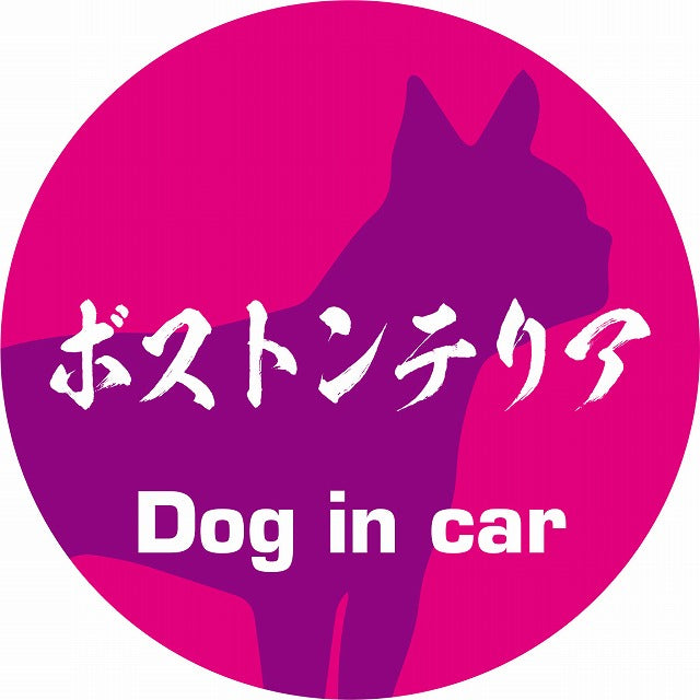 Dog in car ボストンテリア 毛筆書体 ピンクパープル ステッカー 直径10cm 丸型 シール カーステッカー