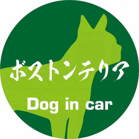 Dog in car ボストンテリア 毛筆書体 グリーン ステッカー 直径10cm 丸型 シール カーステッカー