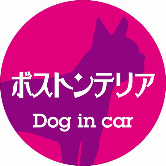 Dog in car ボストンテリア レトロ書体 ピンクパープル ステッカー 直径10cm 丸型 シール カーステッカー