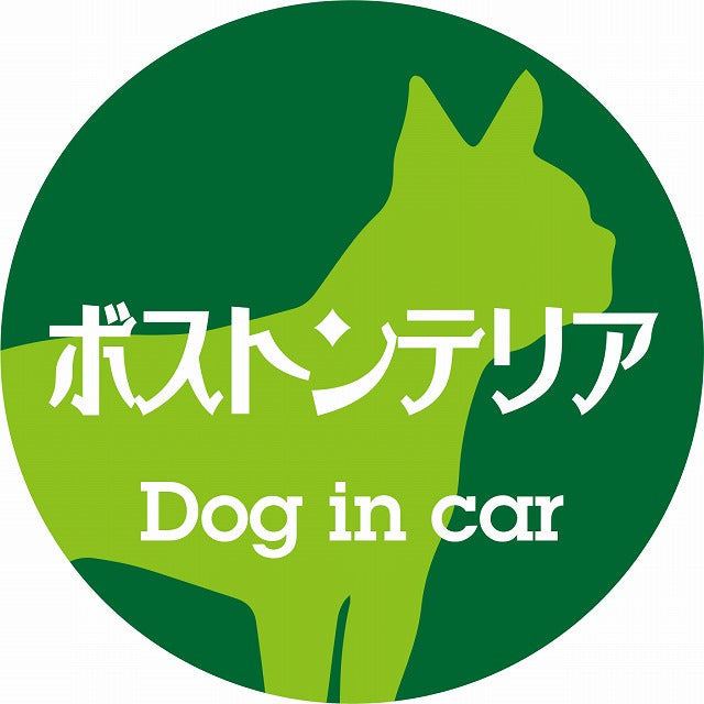 Dog in car ボストンテリア レトロ書体 グリーン ステッカー 直径10cm 丸型 シール カーステッカー