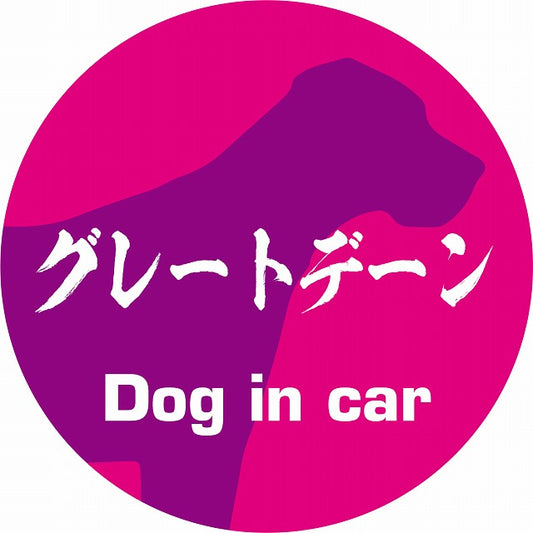 Dog in car グレートデーン 毛筆書体 ピンクパープル ステッカー 直径10cm 丸型 シール カーステッカー