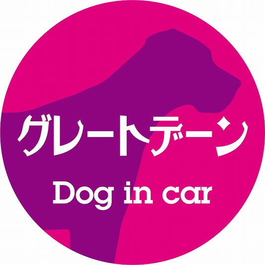 Dog in car グレートデーン レトロ書体 ピンクパープル ステッカー 直径10cm 丸型 シール カーステッカー