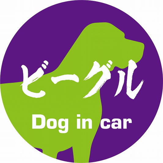 Dog in car ビーグル 毛筆書体 パープルグリーン ステッカー 直径10cm 丸型 シール カーステッカー