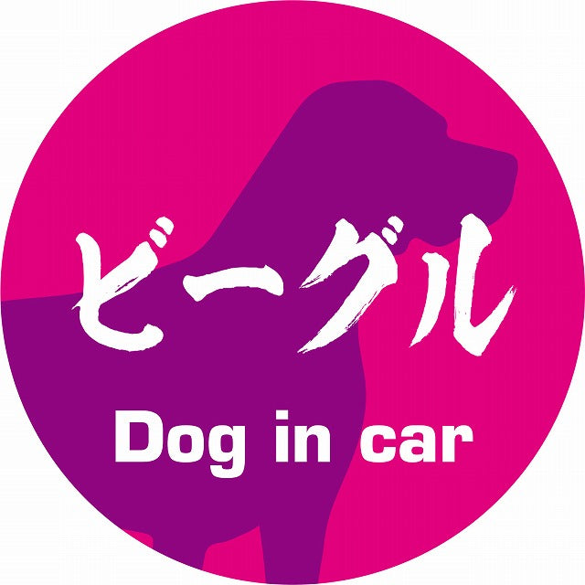 Dog in car ビーグル 毛筆書体 ピンクパープル ステッカー 直径10cm 丸型 シール カーステッカー