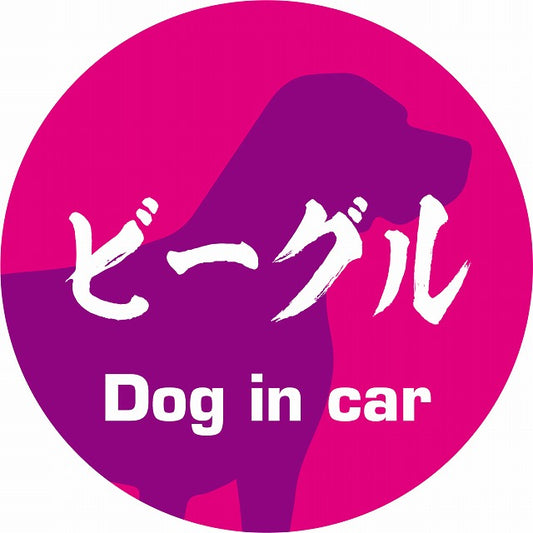 Dog in car ビーグル 毛筆書体 ピンクパープル ステッカー 直径10cm 丸型 シール カーステッカー