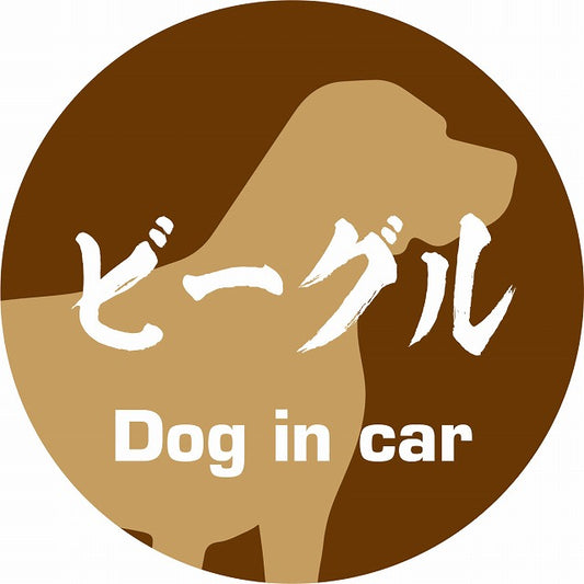 Dog in car ビーグル 毛筆書体 ブラウン ステッカー 直径10cm 丸型 シール カーステッカー