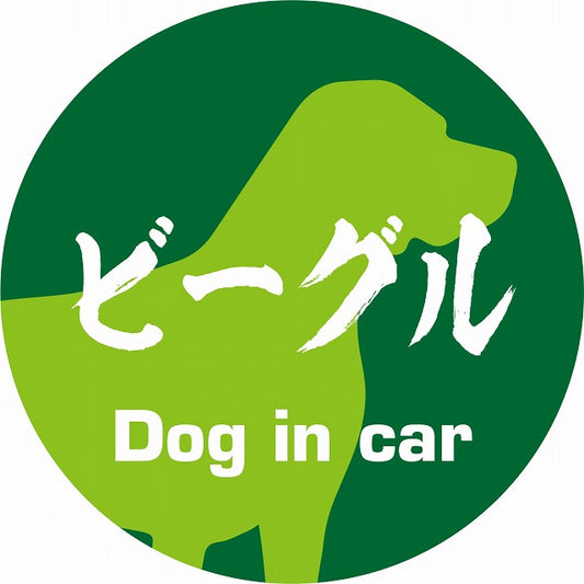 Dog in car ビーグル 毛筆書体 グリーン ステッカー 直径10cm 丸型 シール カーステッカー
