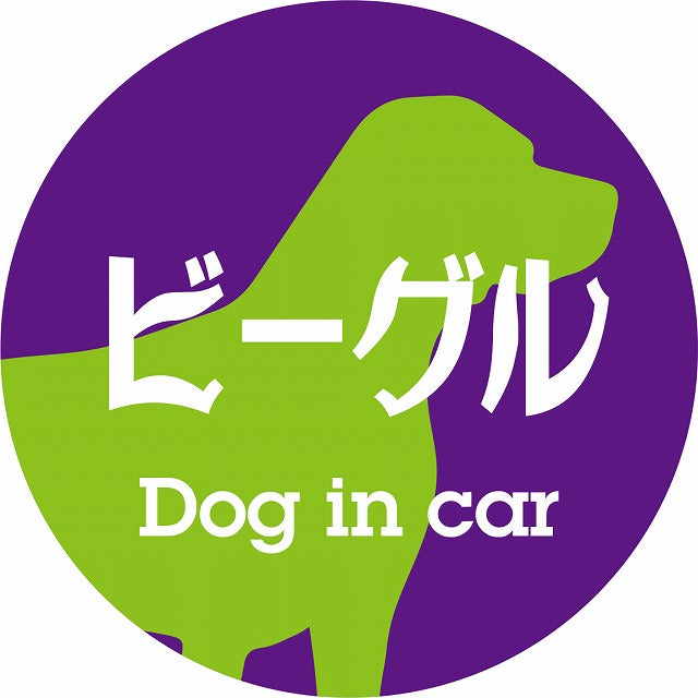 Dog in car ビーグル レトロ書体 パープルグリーン ステッカー 直径10cm 丸型 シール カーステッカー
