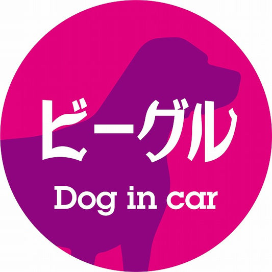 Dog in car ビーグル レトロ書体 ピンクパープル ステッカー 直径10cm 丸型 シール カーステッカー