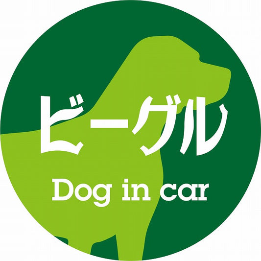 Dog in car ビーグル レトロ書体 グリーン ステッカー 直径10cm 丸型 シール カーステッカー
