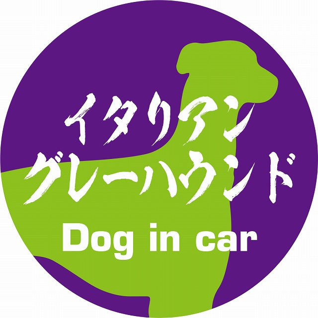 Dog in car イタリアングレーハウンド 毛筆書体 パープルグリーン ステッカー 直径10cm 丸型 シール カーステッカー