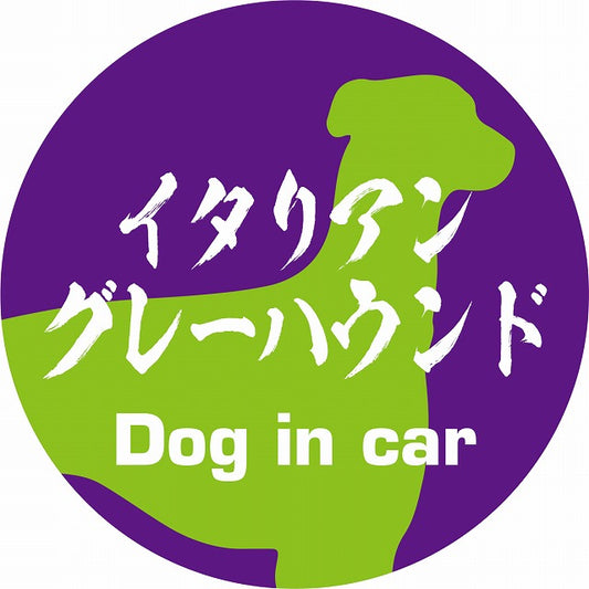 Dog in car イタリアングレーハウンド 毛筆書体 パープルグリーン ステッカー 直径10cm 丸型 シール カーステッカー