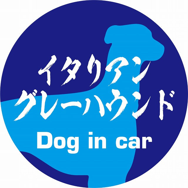 Dog in car イタリアングレーハウンド 毛筆書体 ブルー ステッカー 直径10cm 丸型 シール カーステッカー