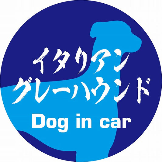 Dog in car イタリアングレーハウンド 毛筆書体 ブルー ステッカー 直径10cm 丸型 シール カーステッカー