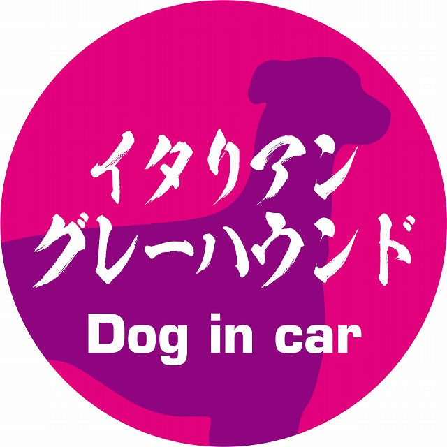 Dog in car イタリアングレーハウンド 毛筆書体 ピンクパープル ステッカー 直径10cm 丸型 シール カーステッカー