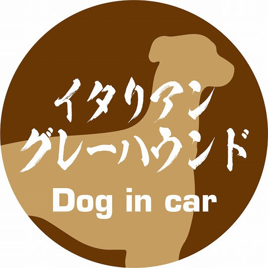 Dog in car イタリアングレーハウンド 毛筆書体 ブラウン ステッカー 直径10cm 丸型 シール カーステッカー