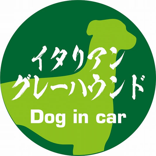 Dog in car イタリアングレーハウンド 毛筆書体 グリーン ステッカー 直径10cm 丸型 シール カーステッカー
