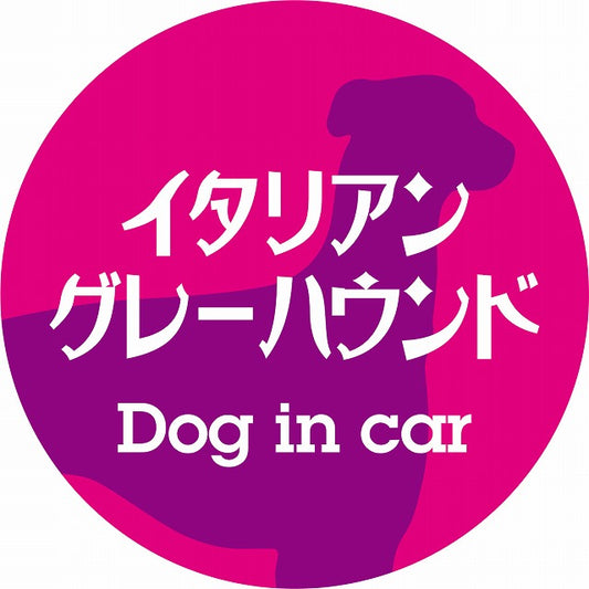 Dog in car イタリアングレーハウンド レトロ書体 ピンクパープル ステッカー 直径10cm 丸型 シール カーステッカー