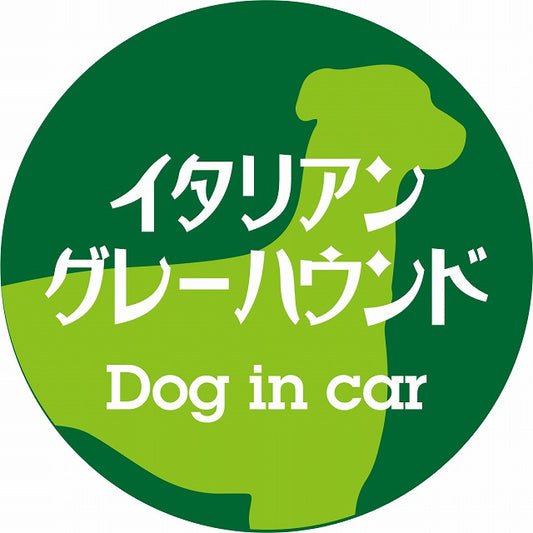 Dog in car イタリアングレーハウンド レトロ書体 グリーン ステッカー 直径10cm 丸型 シール カーステッカー
