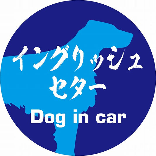 Dog in car イングリッシュセター 毛筆書体 ブルー ステッカー 直径10cm 丸型 シール カーステッカー