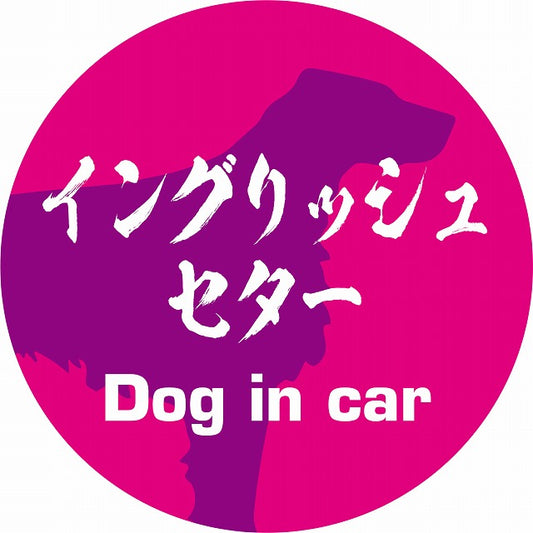 Dog in car イングリッシュセター 毛筆書体 ピンクパープル ステッカー 直径10cm 丸型 シール カーステッカー