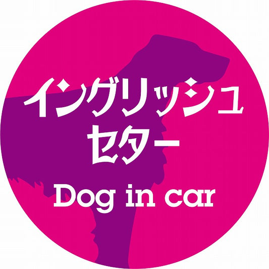 Dog in car イングリッシュセター レトロ書体 ピンクパープル ステッカー 直径10cm 丸型 シール カーステッカー