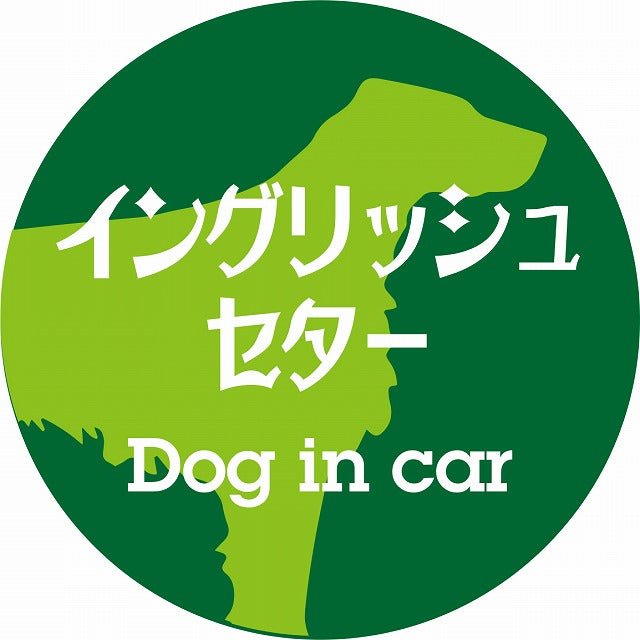 Dog in car イングリッシュセター レトロ書体 グリーン ステッカー 直径10cm 丸型 シール カーステッカー