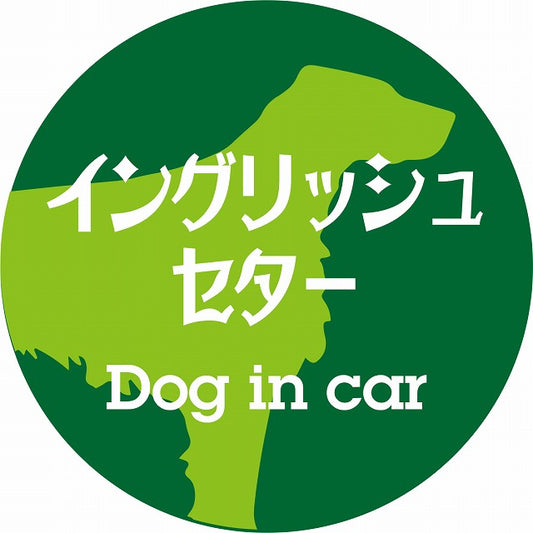 Dog in car イングリッシュセター レトロ書体 グリーン ステッカー 直径10cm 丸型 シール カーステッカー