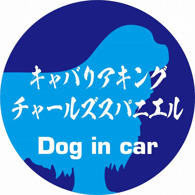 Dog in car キャバリアキングチャールズスパニエル 毛筆書体 ブルー ステッカー 直径10cm 丸型 シール カーステッカー