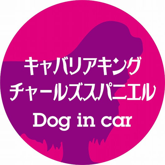 Dog in car キャバリアキングチャールズスパニエル レトロ書体 ピンクパープル ステッカー 直径10cm 丸型 シール カーステッカー