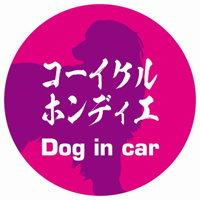 Dog in car コーイケルホーンディエ 毛筆書体 ピンクパープル ステッカー 直径10cm 丸型 シール カーステッカー