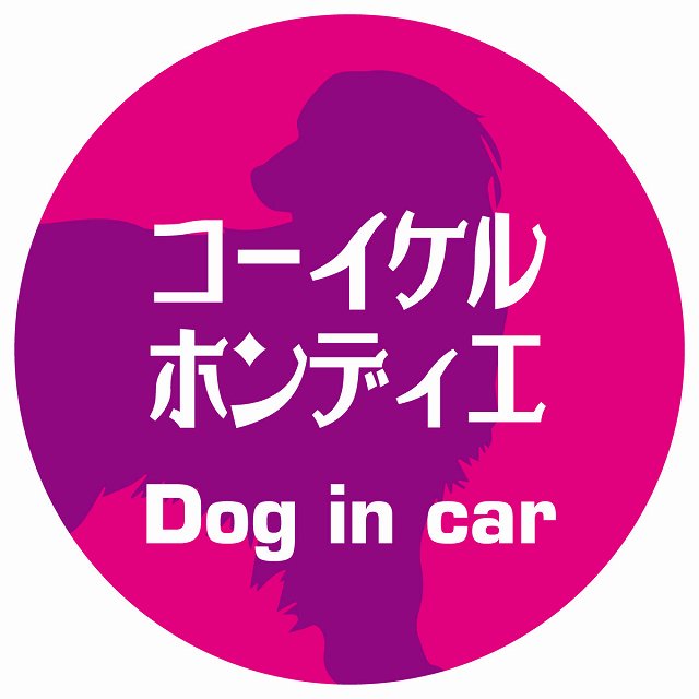 Dog in car コーイケルホーンディエ レトロ書体 ピンクパープル ステッカー 直径10cm 丸型 シール カーステッカー