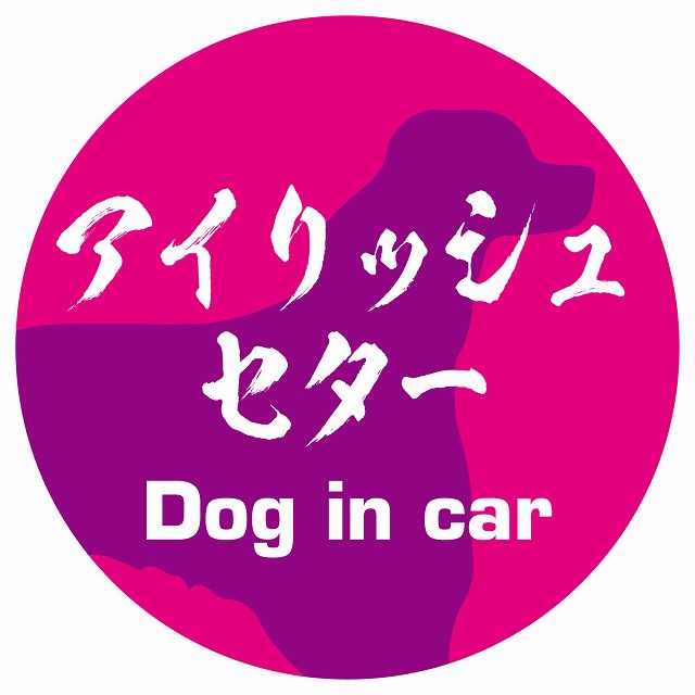 Dog in car アイリッシュセター 毛筆書体 ピンクパープル ステッカー 直径10cm 丸型 シール カーステッカー