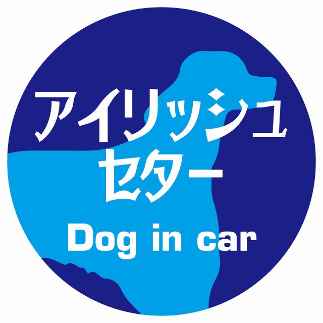 Dog in car アイリッシュセター レトロ書体 ブルー ステッカー 直径10cm 丸型 シール カーステッカー
