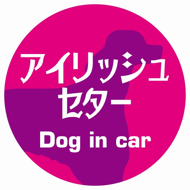 Dog in car アイリッシュセター レトロ書体 ピンクパープル ステッカー 直径10cm 丸型 シール カーステッカー